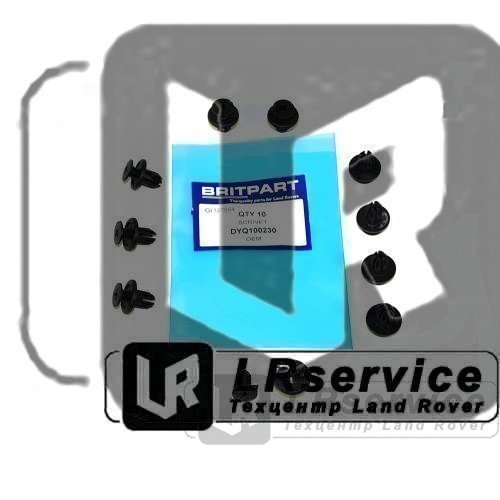 DYQ100230 OEM Пистон