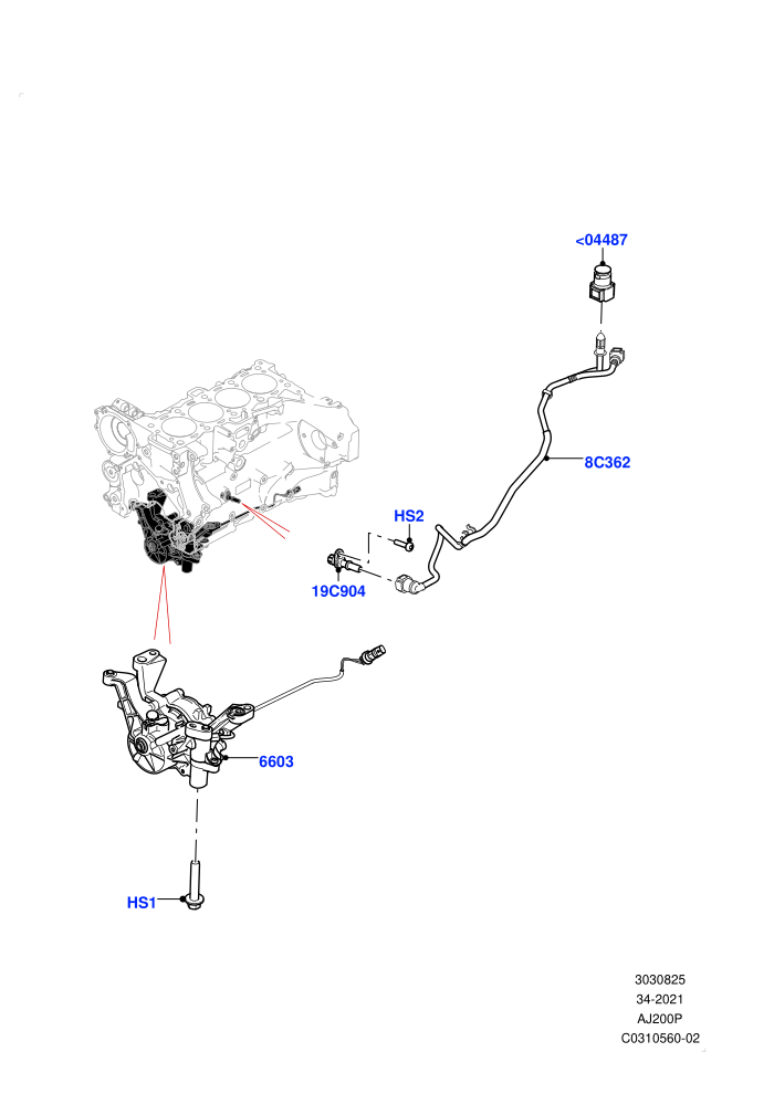Vacuum Control And Air Injection (2.0L I4 Mid DOHC AJ200 Petrol)((V)FROMMA000001)