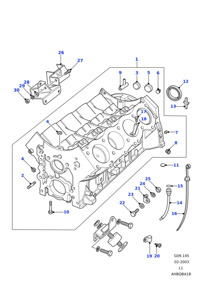 602146 BRITPART Пробка блока цилиндров V8 3.5/3.9/4.0/4.6