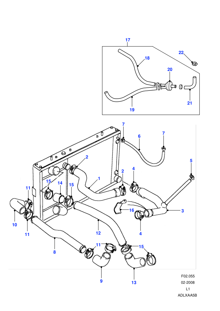 Radiator Hoses (4 Cyl TDi)