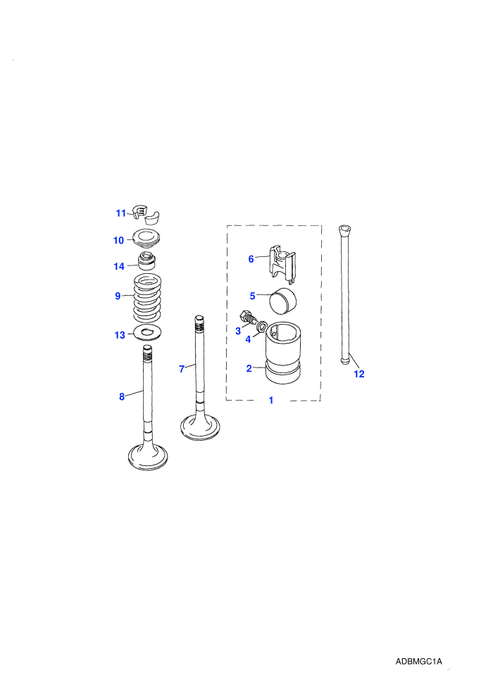 Valves & Tappets (2.5L I4 200 TDi L/R,5 Speed Manual Transmission,Less Catalyst)