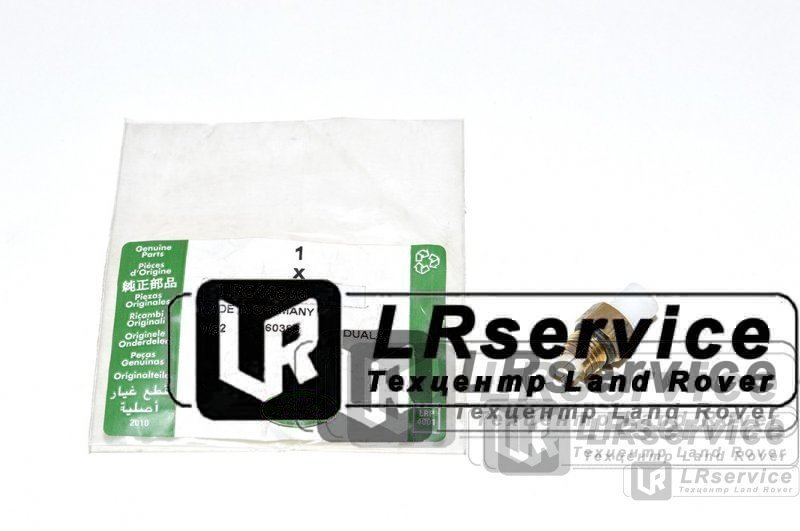LR044836