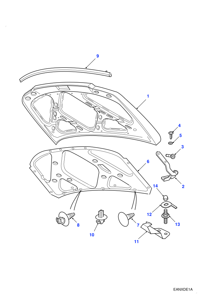 Bonnet