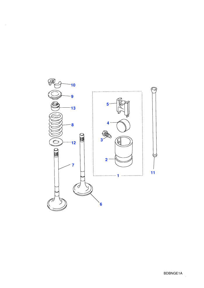 Valves & Tappets (2.5L TDi)