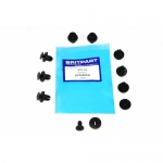 DYQ100230 OEM Пистон