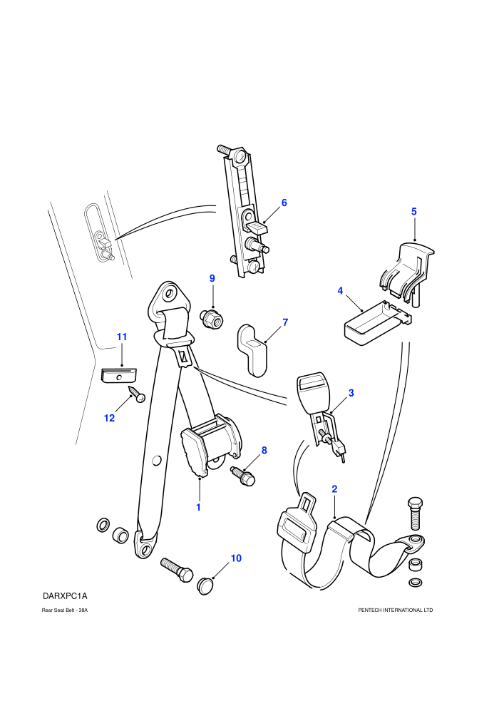 Rear Seat Belt-Forward Facing