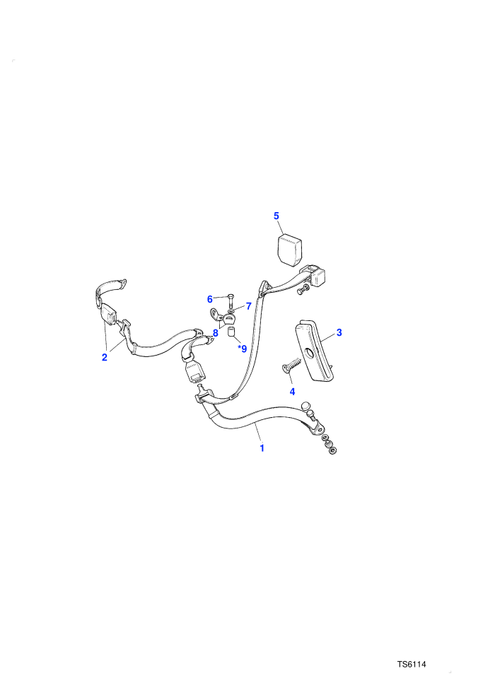 Seat Belt Assembly-Rear