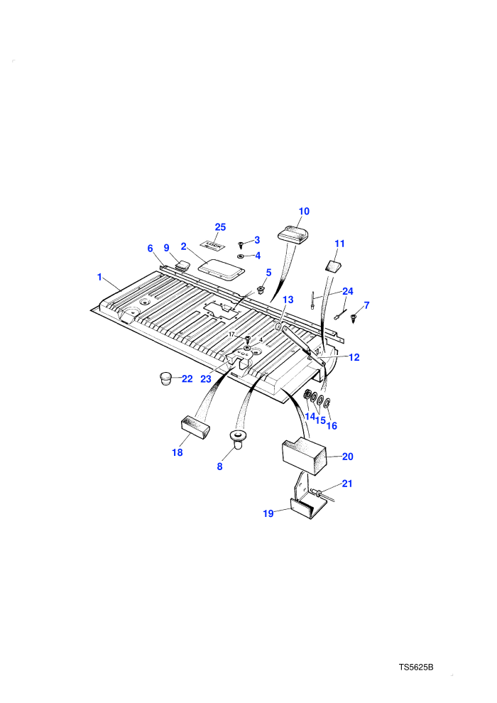 Tailgate Assembly-Lower