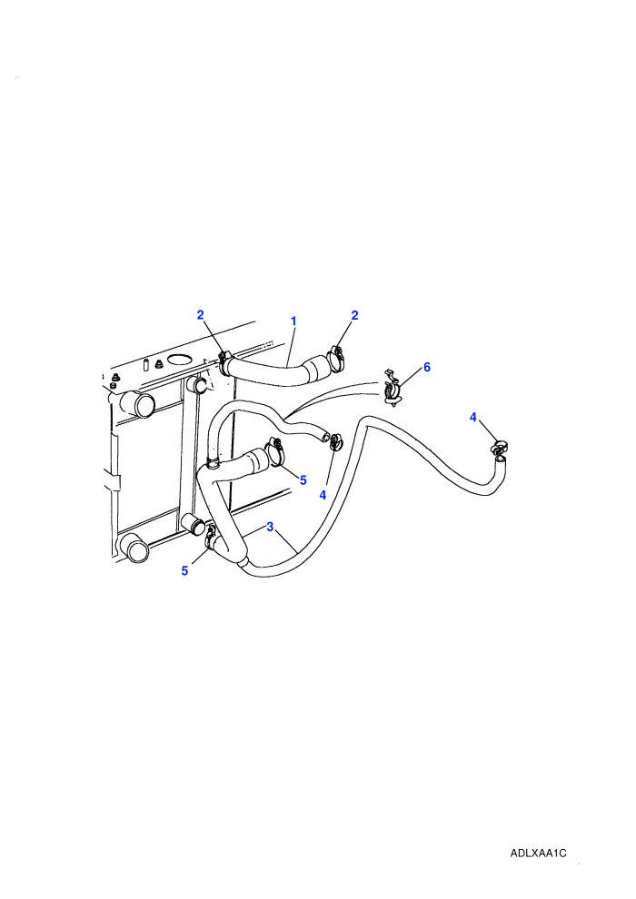 Radiator Hoses (4 Cylinder TDi L/R)