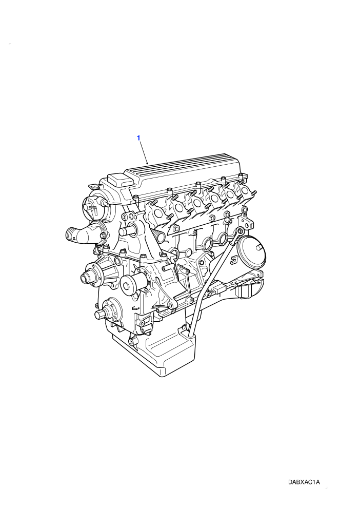 Engine Stripped (2.5L 6 Cyl BMW Diesel)