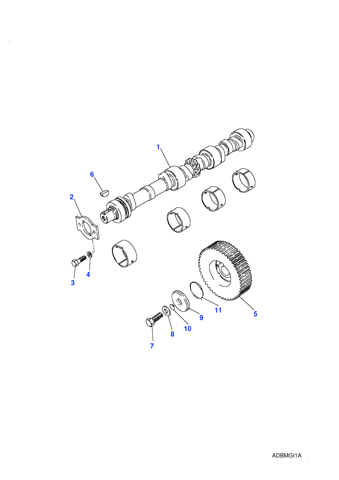 Camshaft (2.5L I4 200 TDi L/R,5 Speed Manual Transmission,Less Catalyst)