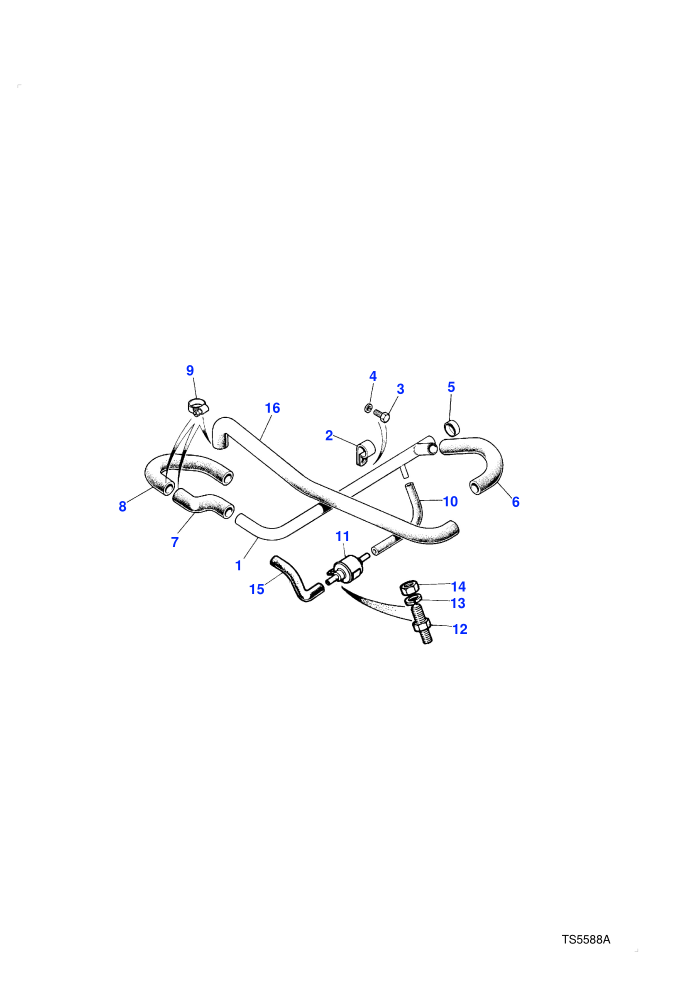 Plenum Hoses (Petrol V8 L/R EFI)