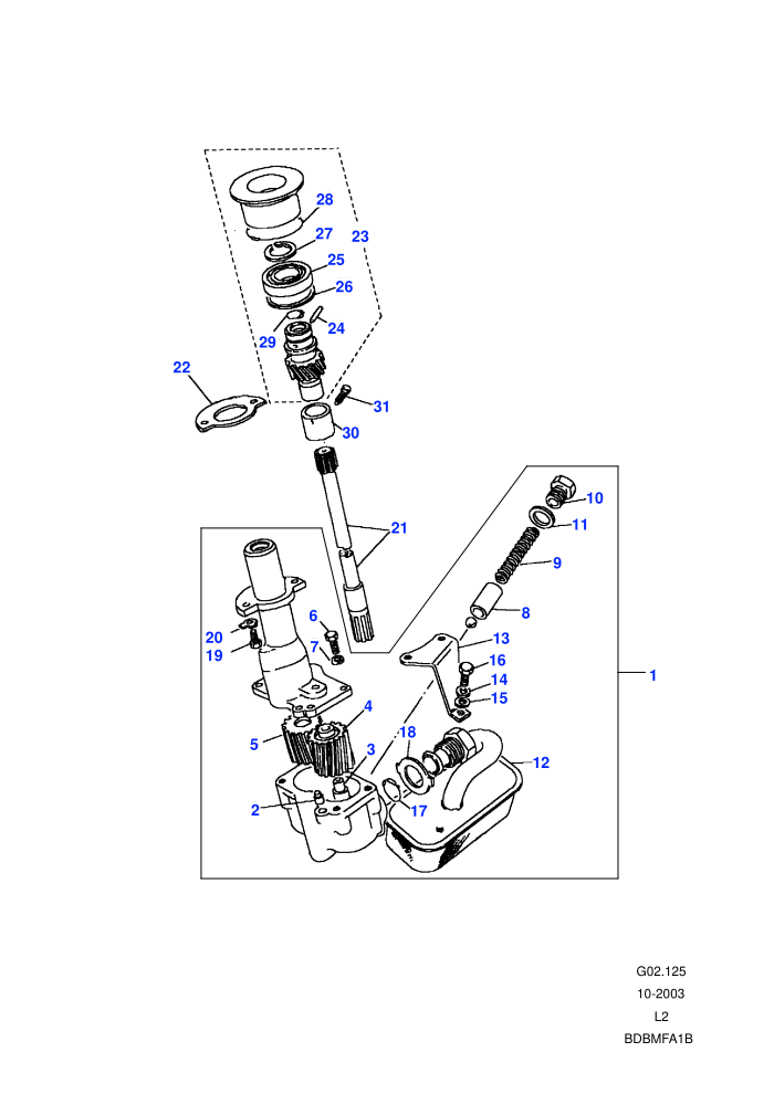 Oil Pump (200 TDi)