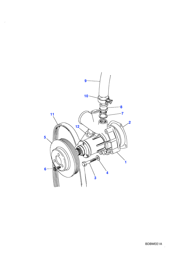 Water Pump (2.5L Turbo Diesel VM)