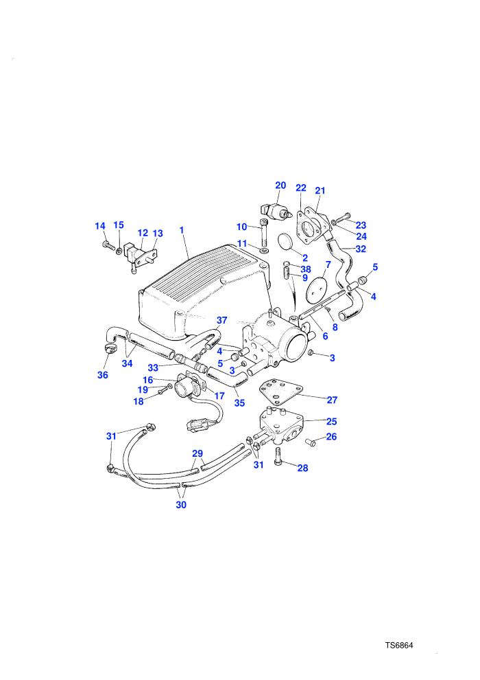 Plenum Chamber (Petrol V8 L/R EFI)