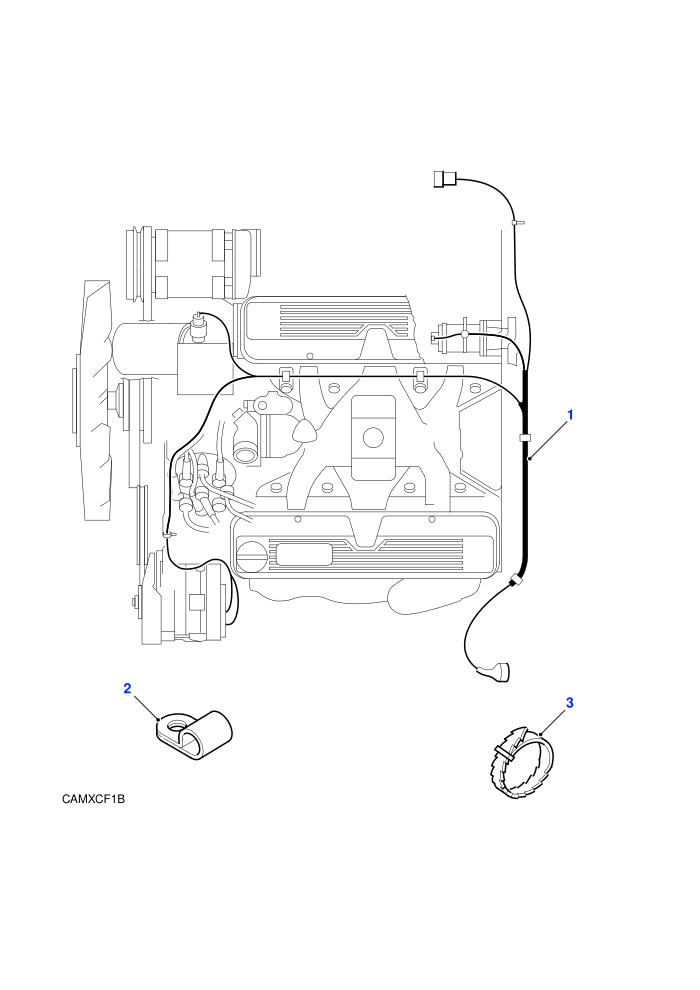 Engine Harness (Petrol V8 L/R EFI,V8 EFI Petrol,V8 Twin Carb L/R Petrol)((V)FROMMA081992)