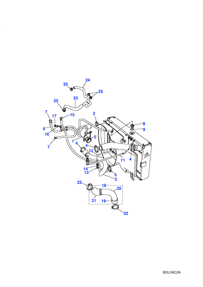 Radiator Hoses (Diesel VM)