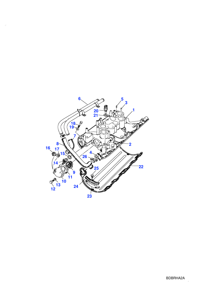 Inlet Manifold (V8 EFI Petrol)