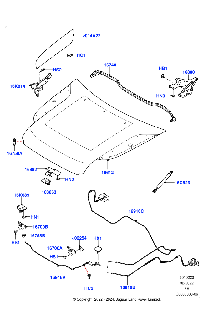 Hood And Related Parts