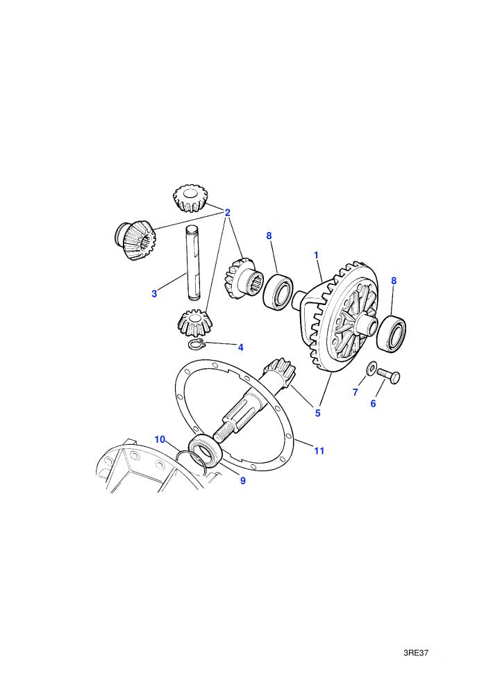 Crownwheel & Pinion