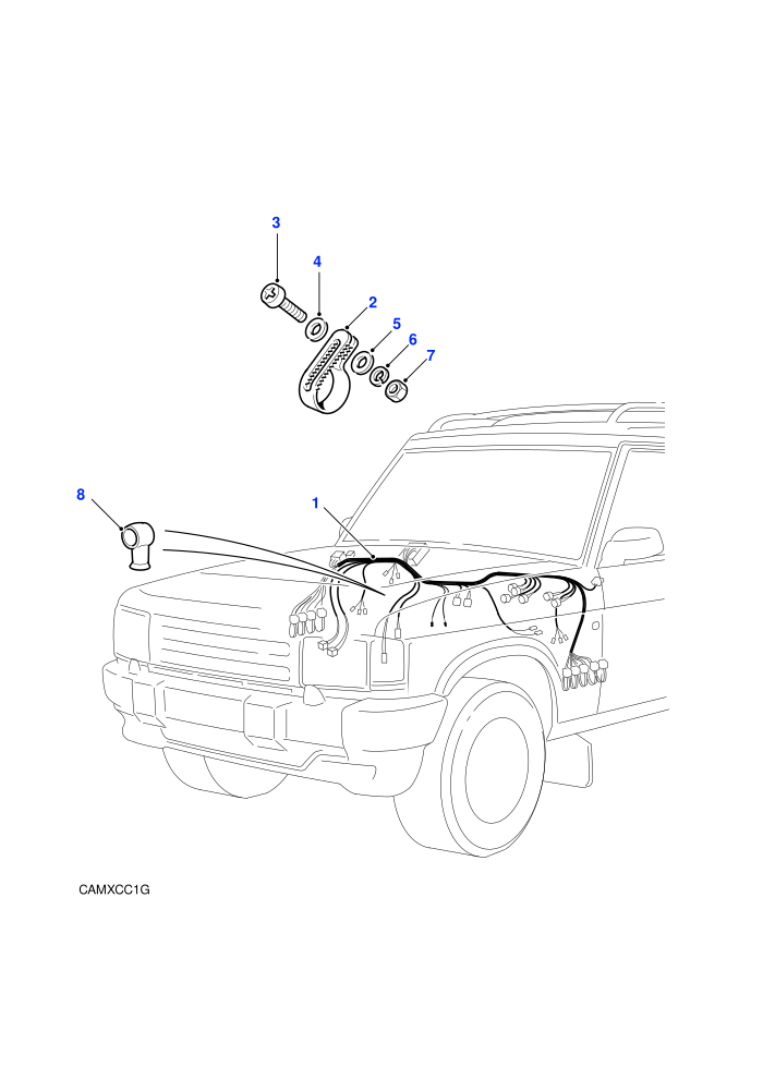 Harness - Main - Less Wing Harness ((V)TOLA081991)