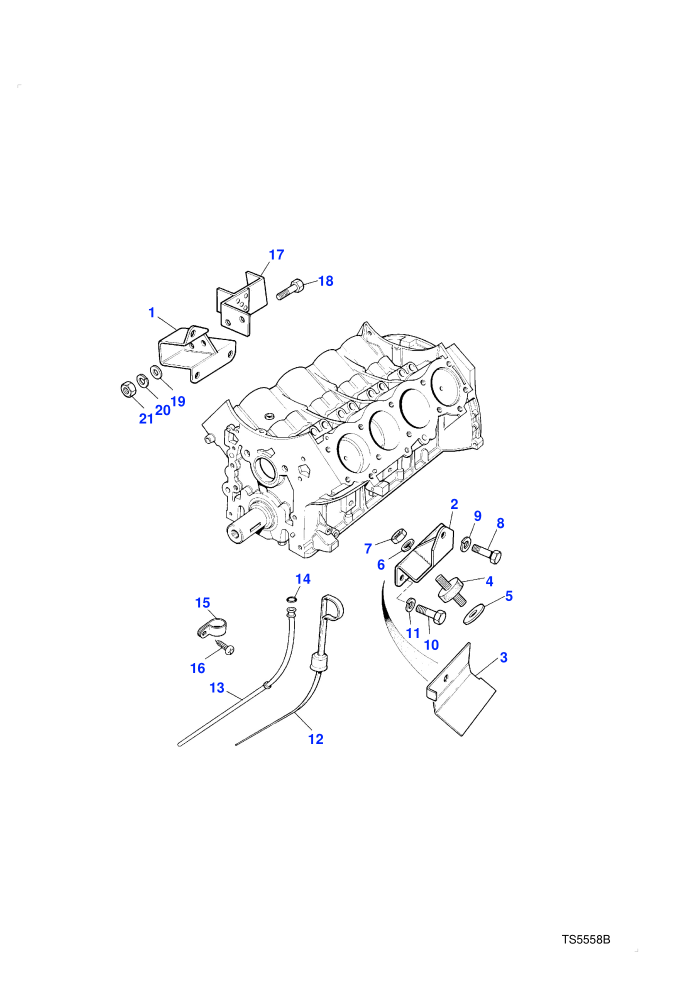 Mountings-Dipstick (Petrol V8 L/R EFI)