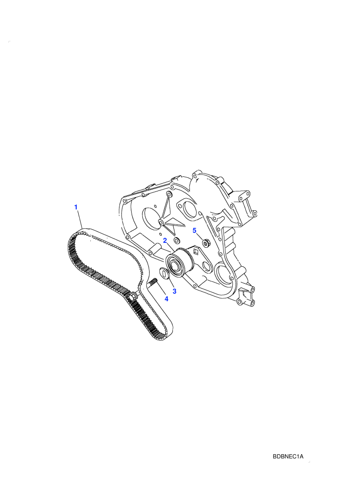 Timing Belt & Tensioner (2.5L TDi)