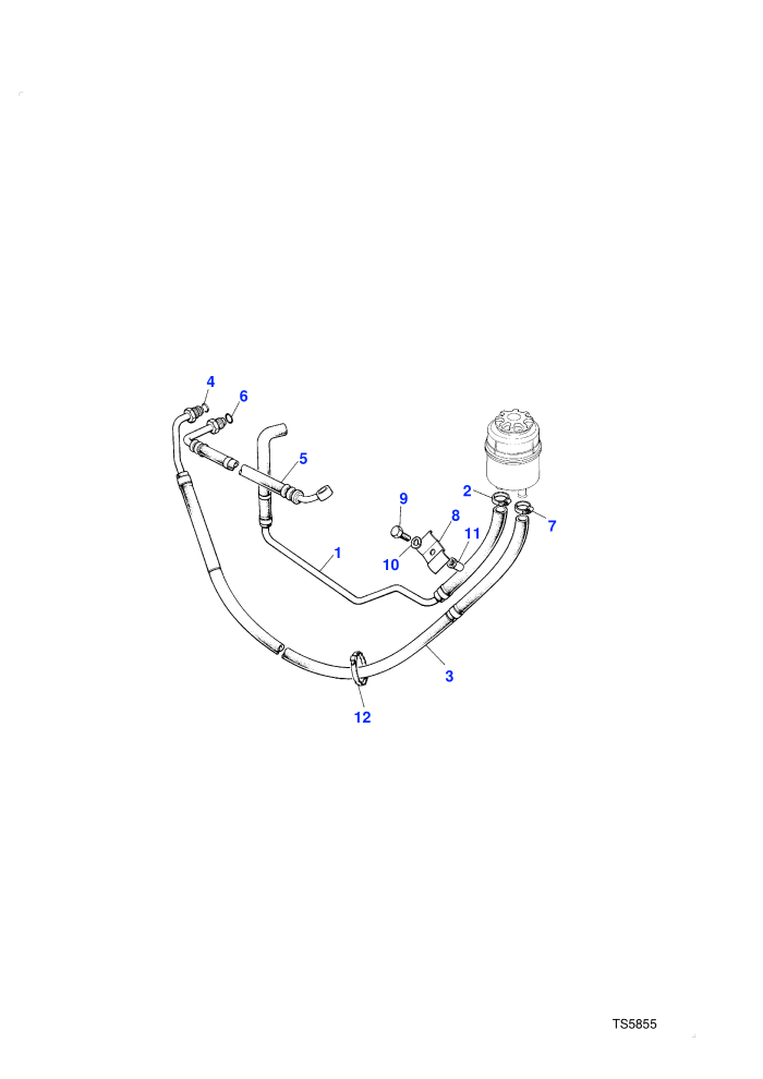 Power Steering Hoses (With Diesel Engines)