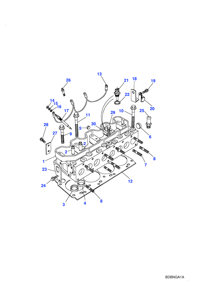 Cylinder Head (2.5L TDi)