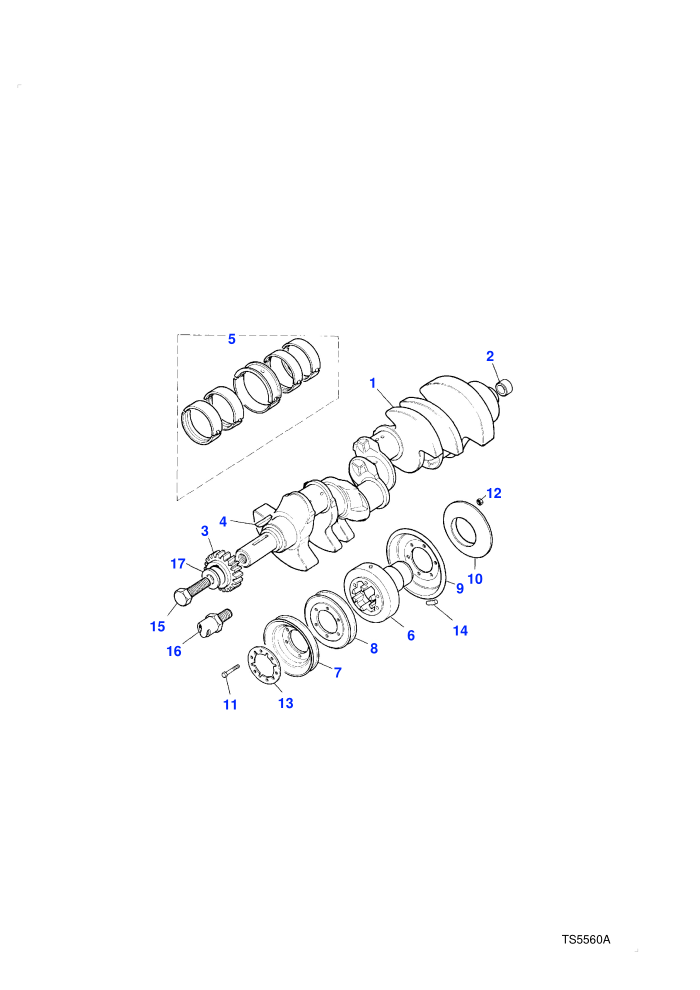 Crankshaft & Bearings (Petrol V8 L/R EFI)