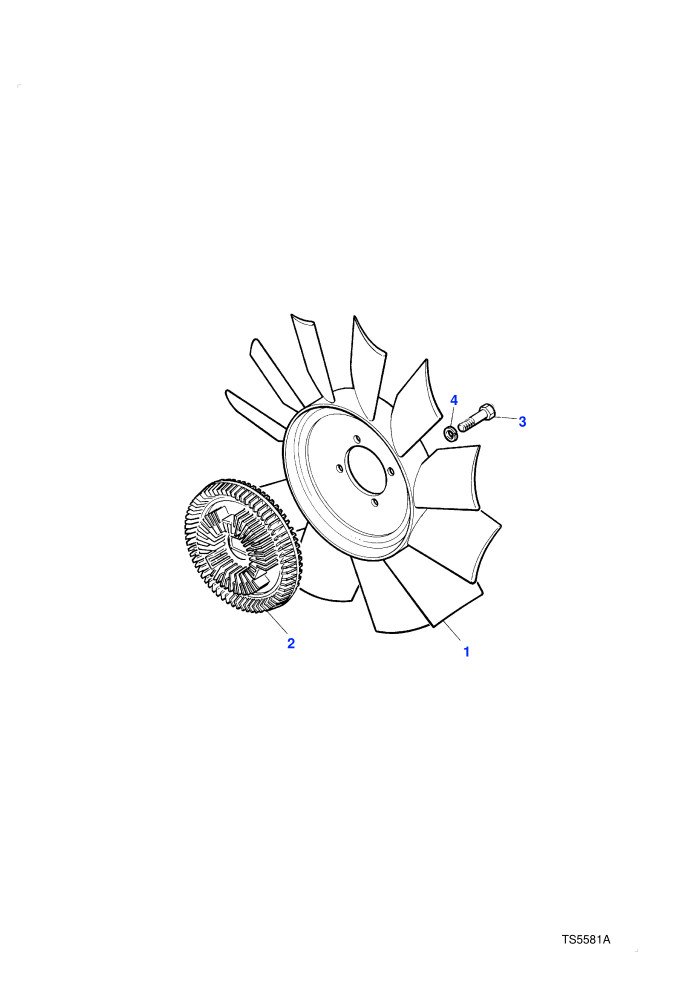 Fan & Viscous Drive (2.4L 4 Cyl VM Turbo Diesel)