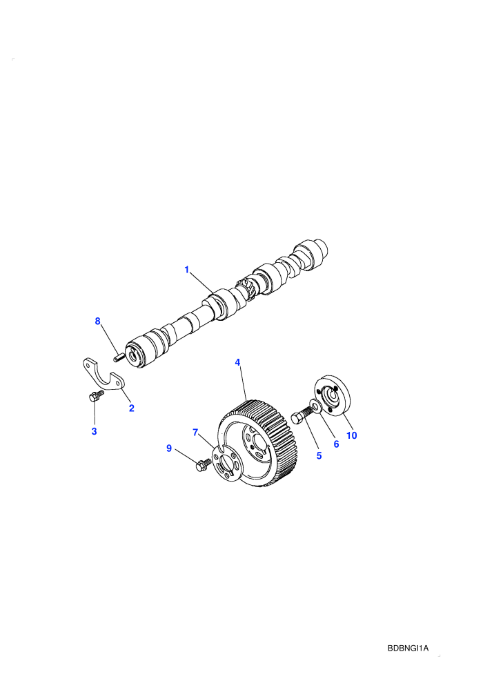 Camshaft (2.5L TDi)