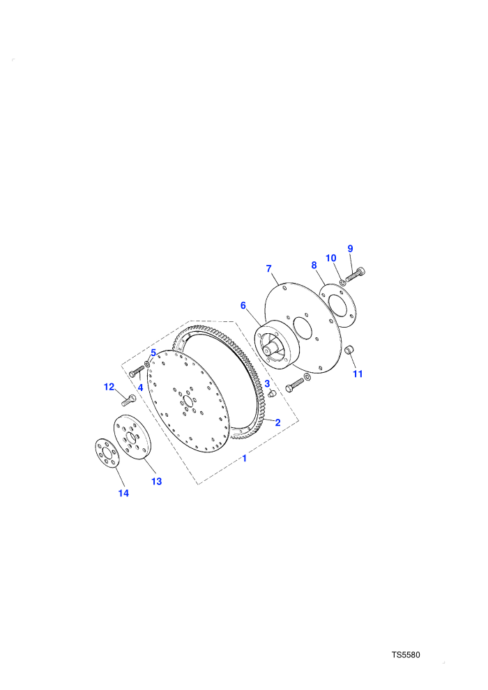 Drive Plate Automatic (Automatic Transmission,Petrol V8 L/R EFI)