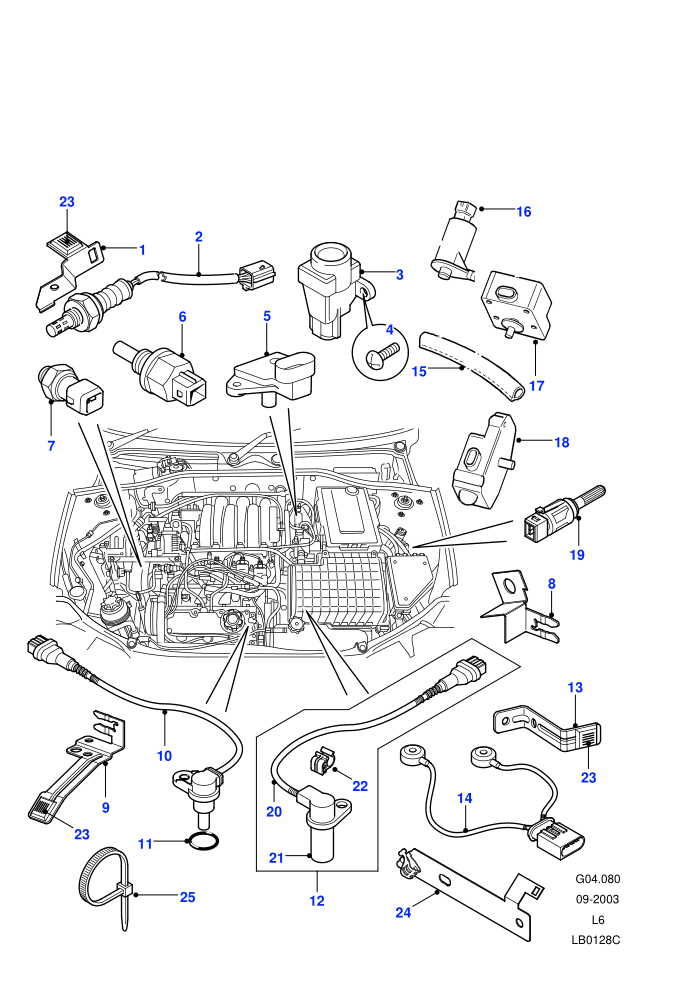 Sensors (2.5 KV6 Petrol,Automatic Transmission)