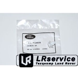 LR028939