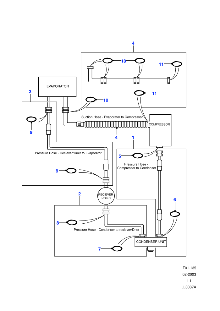 Hose Layout-Except V8 EFi