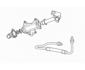 Oil Cooler-Engine