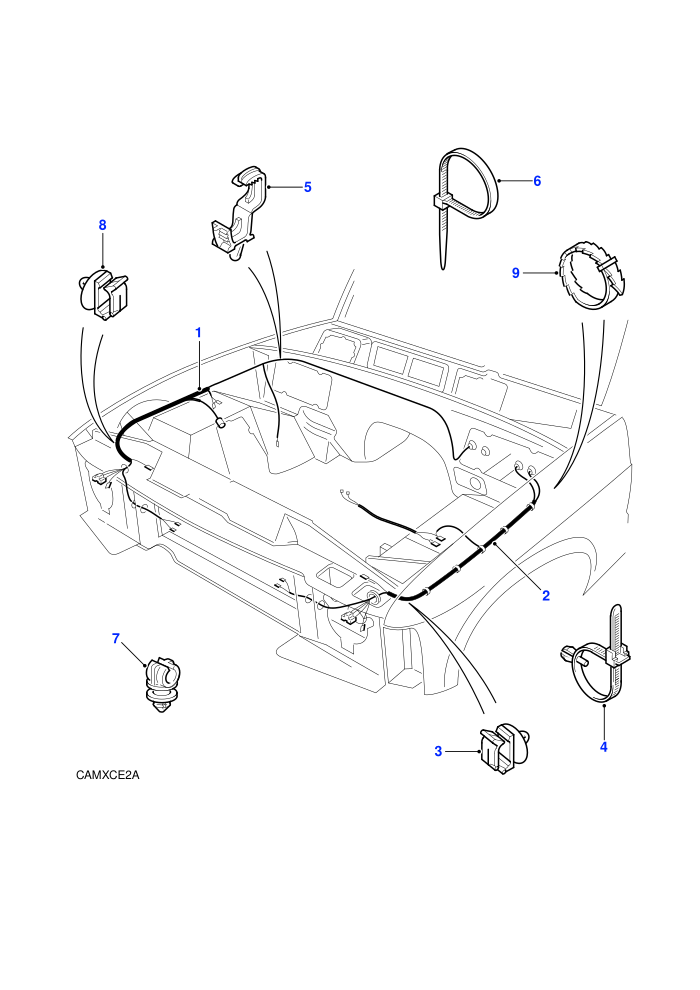 Harness - Front Wing ((V)TOLA081991)
