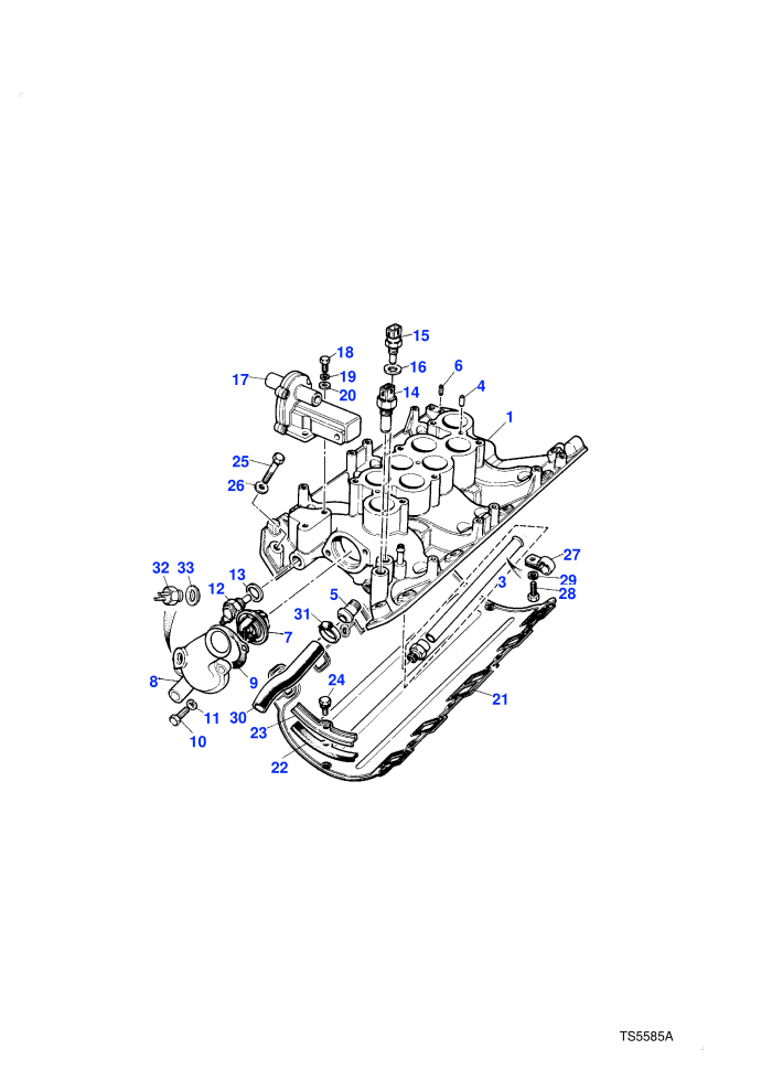 Inlet Manifold-Internal Pipes (Petrol V8 L/R EFI)