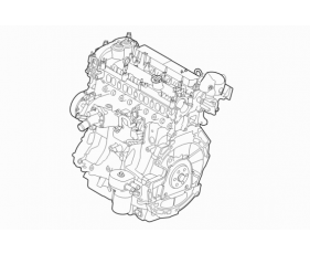 Engine/Block, Heads & Manifolds