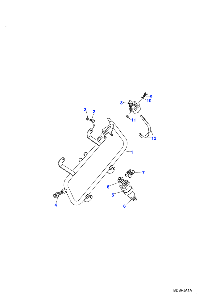 Injectors & Pipes (V8 EFI Petrol)