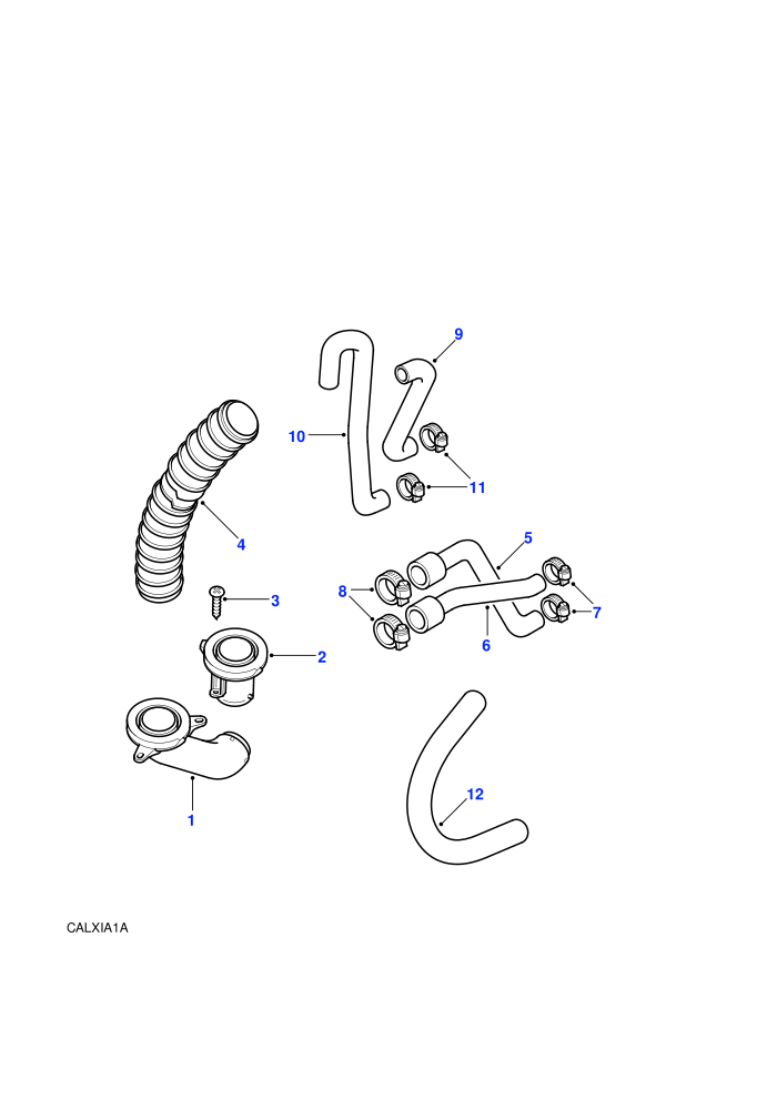 Hoses & Pipes (V8)((V)TOLA081991)
